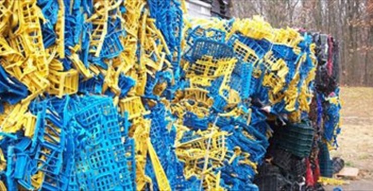 Plastic Scrap Buyer